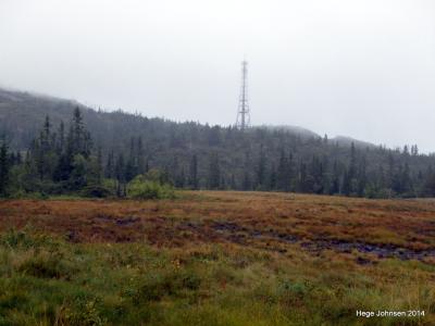 post-4444-0-69302200-1408289380_thumb.jp