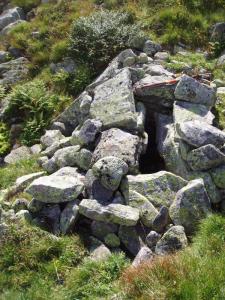 post-6671-0-07598900-1408610007_thumb.jp