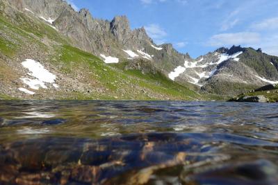 post-10375-0-51309800-1440499103_thumb.j