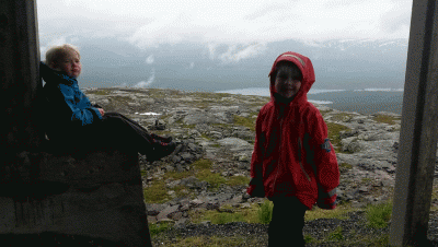 post-10401-0-04213500-1439136066_thumb.g