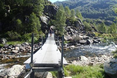 post-1073-0-91109900-1440357849_thumb.jp