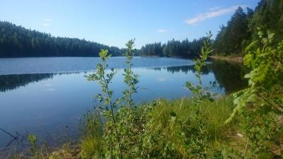 post-11911-0-12584700-1439054294_thumb.j