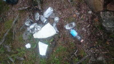 post-11911-0-48034500-1439054278_thumb.j