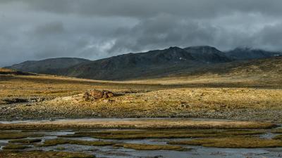 post-12127-0-53044100-1440856437_thumb.j