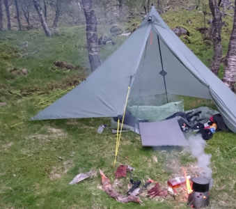 post-12824-0-79560100-1438868007_thumb.p