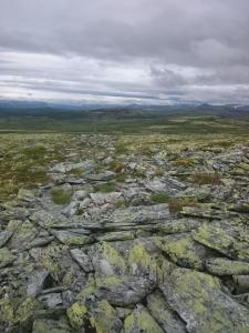 post-14911-0-97603700-1438724257_thumb.j