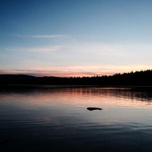 post-15172-0-74132800-1440262199_thumb.j