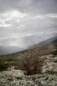 post-15860-0-02763100-1440885465_thumb.j