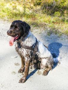 post-15860-0-05308900-1440348361_thumb.j