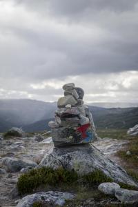 post-15860-0-15409600-1440885358_thumb.j