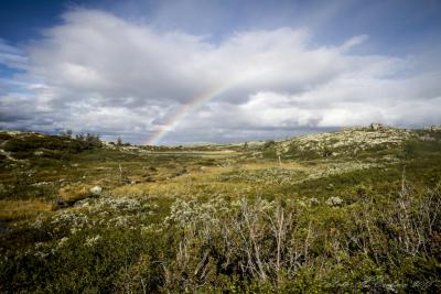 post-15860-0-18375700-1440885472_thumb.j