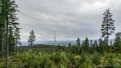 post-15860-0-36366700-1440617439_thumb.j