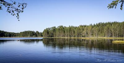 post-15860-0-63165500-1440348368_thumb.j