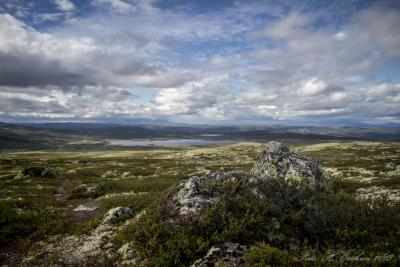 post-15860-0-63755300-1440885353_thumb.j