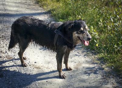 post-15860-0-65012400-1440348365_thumb.j