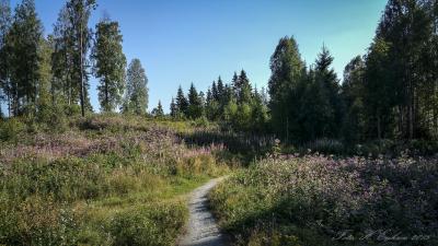 post-15860-0-80944900-1440348375_thumb.j