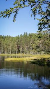 post-15860-0-94776400-1440348371_thumb.j