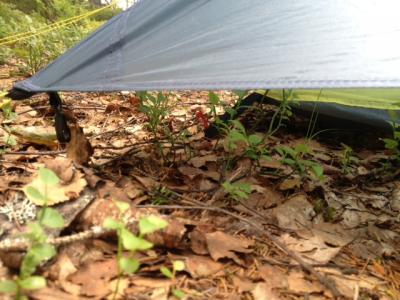 post-16057-0-56253600-1438620024_thumb.j