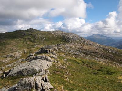 post-16230-0-03345100-1439234248_thumb.j