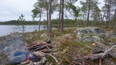 post-2898-0-63868000-1439838365_thumb.jp