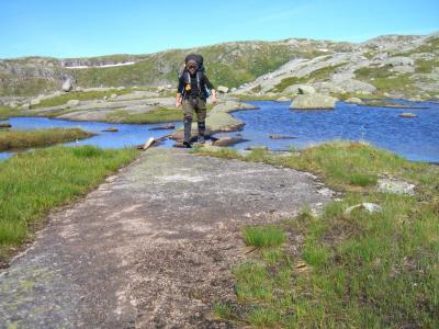 post-4220-0-14873100-1439723062_thumb.jp