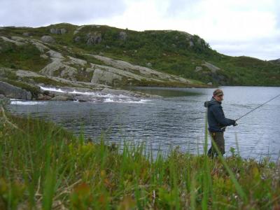 post-4220-0-66081800-1439720852_thumb.jp