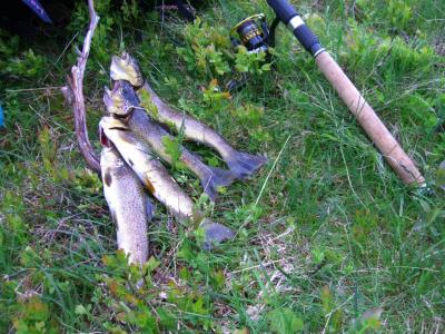 post-4220-0-73564300-1439720870_thumb.jp