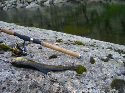 post-4220-0-96972200-1439720888_thumb.jp