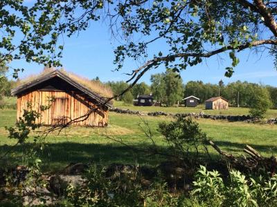 post-4444-0-03434500-1440267161_thumb.jp