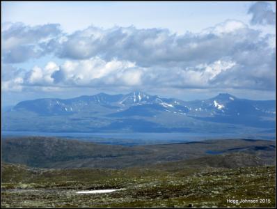 post-4444-0-14878600-1439234533_thumb.jp