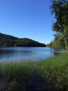 post-4444-0-15589800-1440187848_thumb.jp