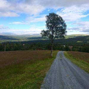 post-4444-0-94501700-1439064748_thumb.jp