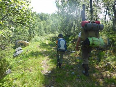 post-6295-0-80860800-1439840223_thumb.jp