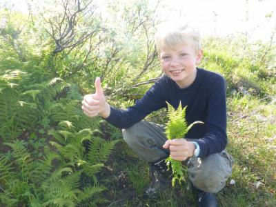 post-6295-0-99144800-1439841966_thumb.jp