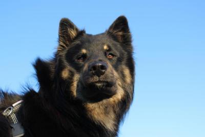 post-8184-0-46398500-1439638738_thumb.jp