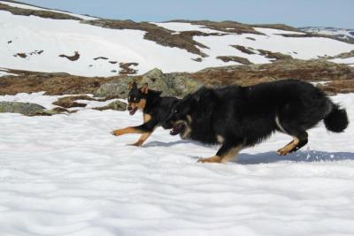 post-8184-0-62768700-1439638483_thumb.jp