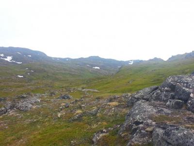 post-8554-0-01512200-1439284791_thumb.jp