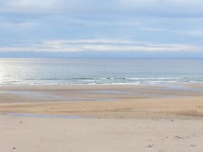 post-8554-0-14804100-1439285519_thumb.jp