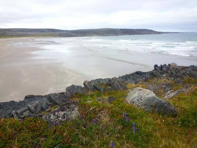 post-8554-0-24517500-1439285762_thumb.jp