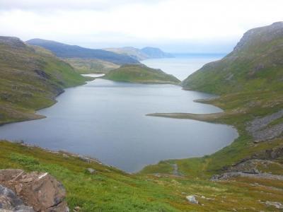 post-8554-0-27319000-1439284840_thumb.jp