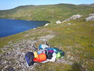 post-8554-0-34933400-1439285299_thumb.jp