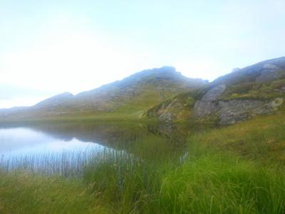 post-8554-0-39397500-1439284812_thumb.jp