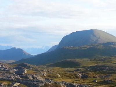 post-8554-0-50348100-1439285312_thumb.jp