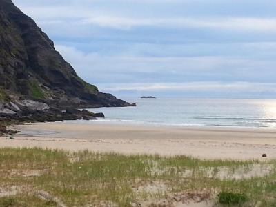 post-8554-0-57154700-1439285404_thumb.jp