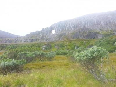 post-8554-0-60673200-1439286237_thumb.jp