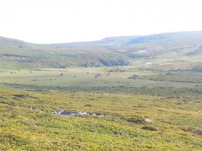 post-8554-0-87351900-1439286277_thumb.jp