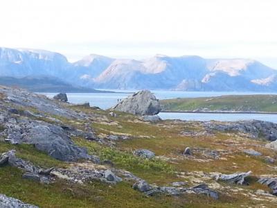 post-8554-0-91742200-1439284517_thumb.jp