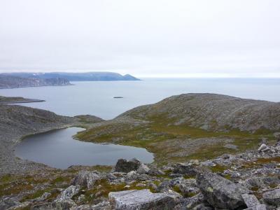 post-8554-0-93938700-1439285701_thumb.jp