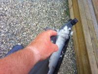 post-10401-0-68971500-1347567268_thumb.j