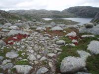 post-1073-0-56780500-1347306897_thumb.jp